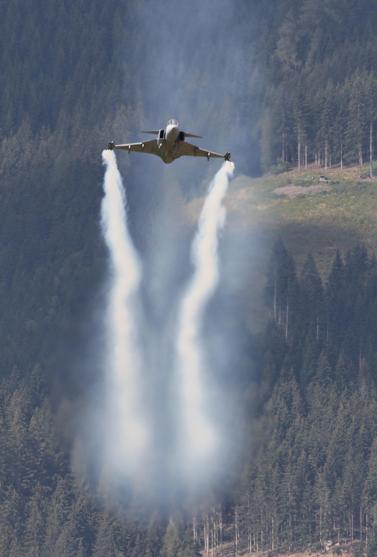 En bild på ett Svenskt JAS plan